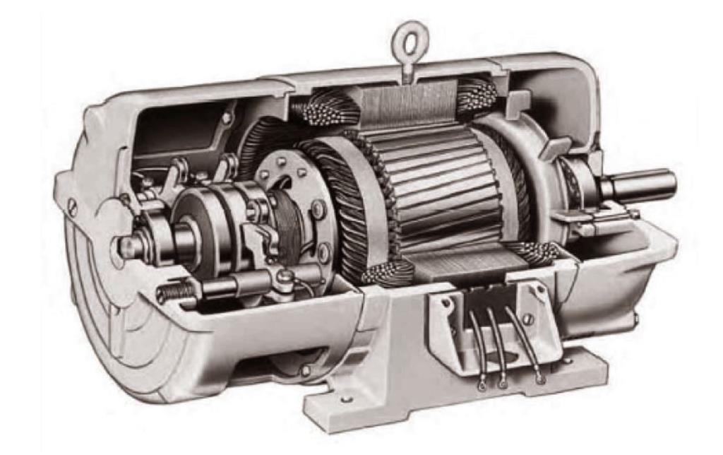 3 induction motor