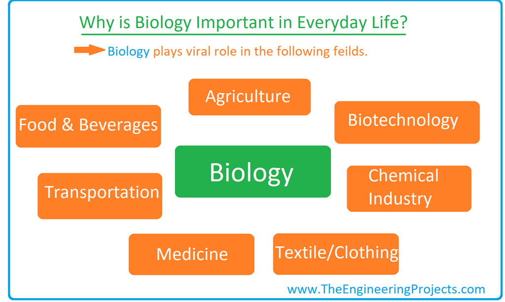 What is Biology? Definition Branches Books and Scientists The