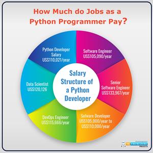 Introduction to Python - The Engineering Projects