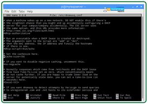 How to Use a Raspberry Pi as a DNS Server - The Engineering Projects