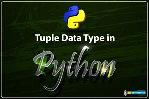 Tuple Data Type in Python, tuple datatype in python, python tuple datatype, tuple python, python tuple