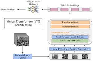 Vision Transformer Neural Network Architecture, Vision Transformer Neural Network Network