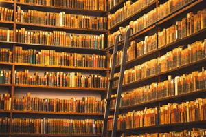 Academic Persistence and Z library Availability on New Official Website