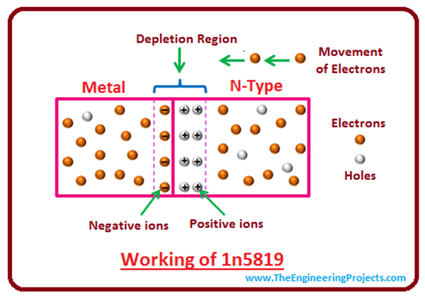 Introduction to 1n5819 - The Engineering Projects