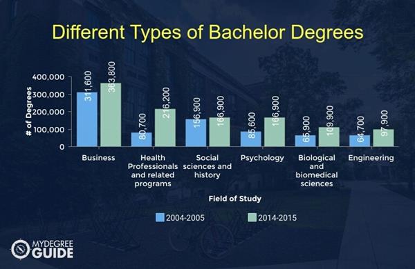 TYPES OF BACHELOR DEGREE visual data 4
