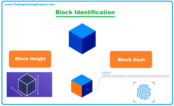 Structure of a Block in Blockchain - The Engineering Projects