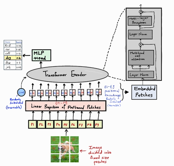 Vision Transformer Neural Network Architecture - The Engineering Projects