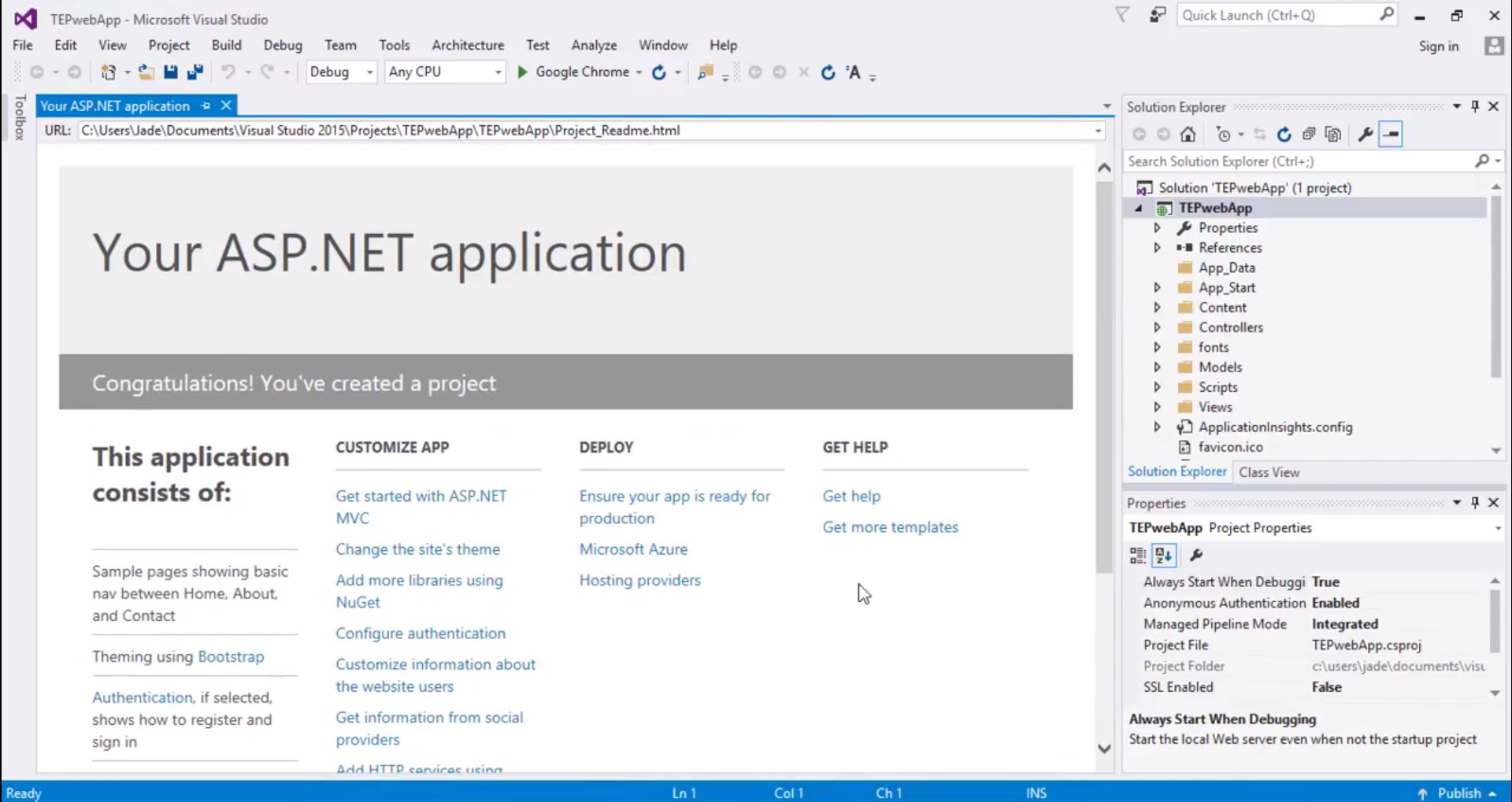 ASP.NET MVC 1 Setup your First Project, setup first project in asp, asp introduction, asp project basics