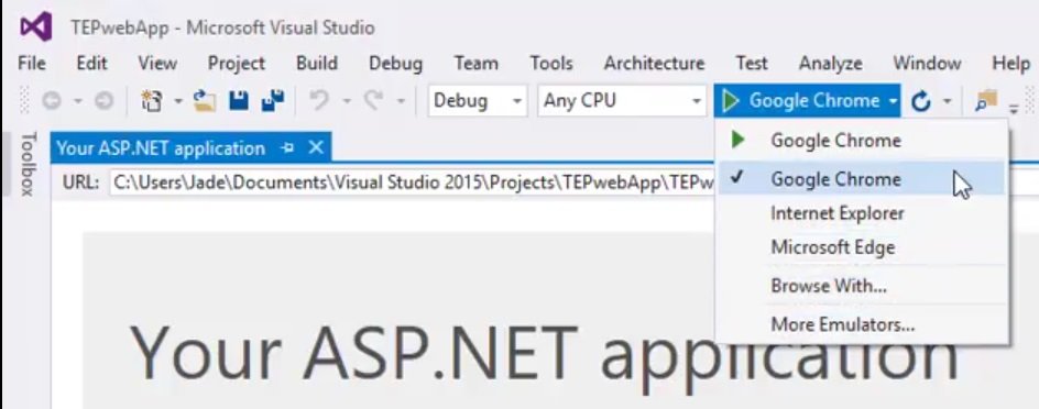 ASP.NET MVC 1 Setup your First Project, setup first project in asp, asp introduction, asp project basics