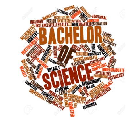 Bachelor Of Science - The Engineering Projects