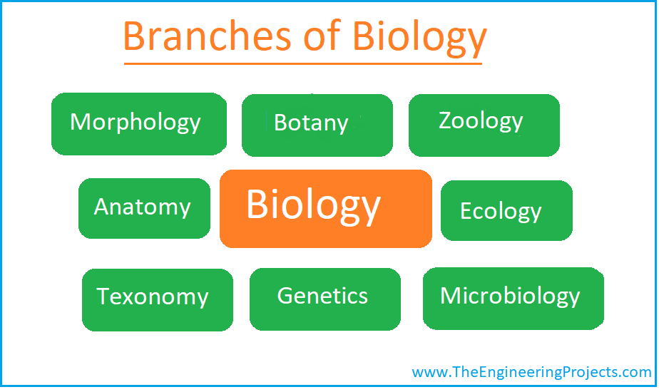 Biology, What is Biology, Biology Definition, Biology Branches, Biology Books, Biology Scientists, Biologists, Biology meaning