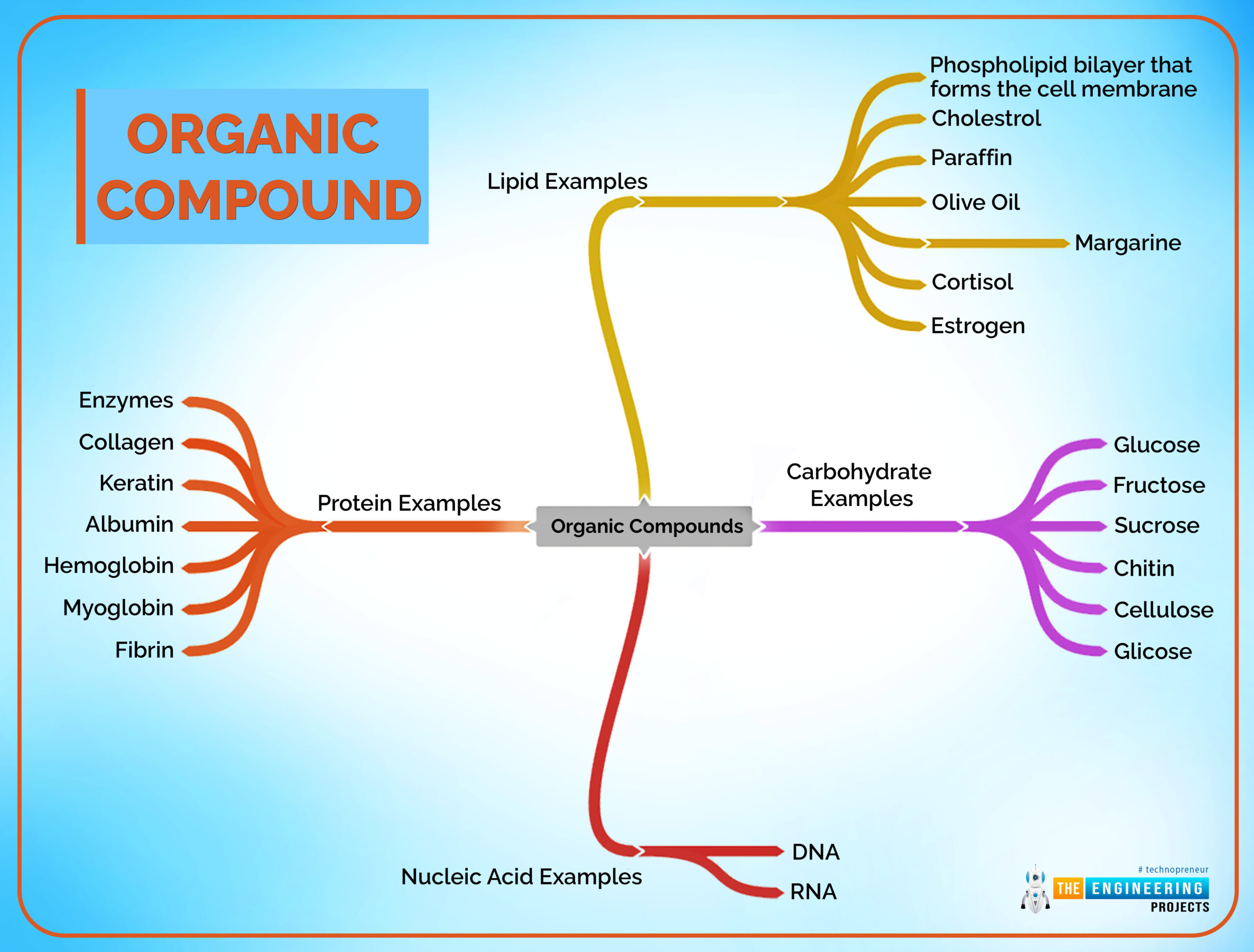 organic compounds examples