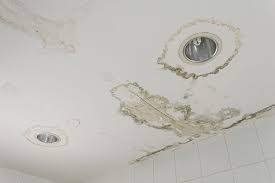 7 Steps to Take if Your Ceilings Have Been Affected by Water Damage 2