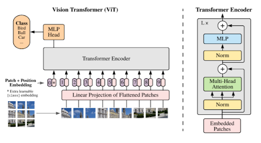 Vision Transformer Neural Network Architecture, Vision Transformer Neural Network Network