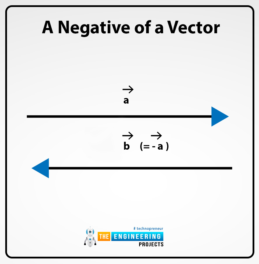 Introduction to vectors in physics, vectors in physics, vectors physics, physics vectors, parallel vectors, negative of a vecor, equal vector, vector symbol