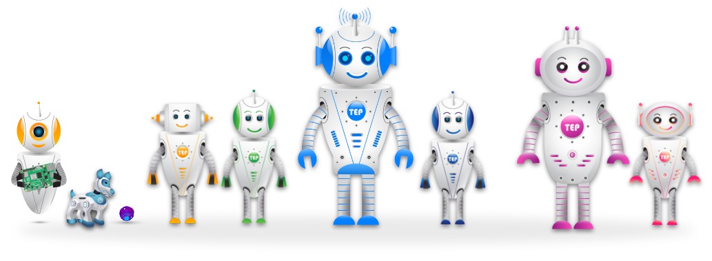 TEP , The Engineering Projects , Robot Group